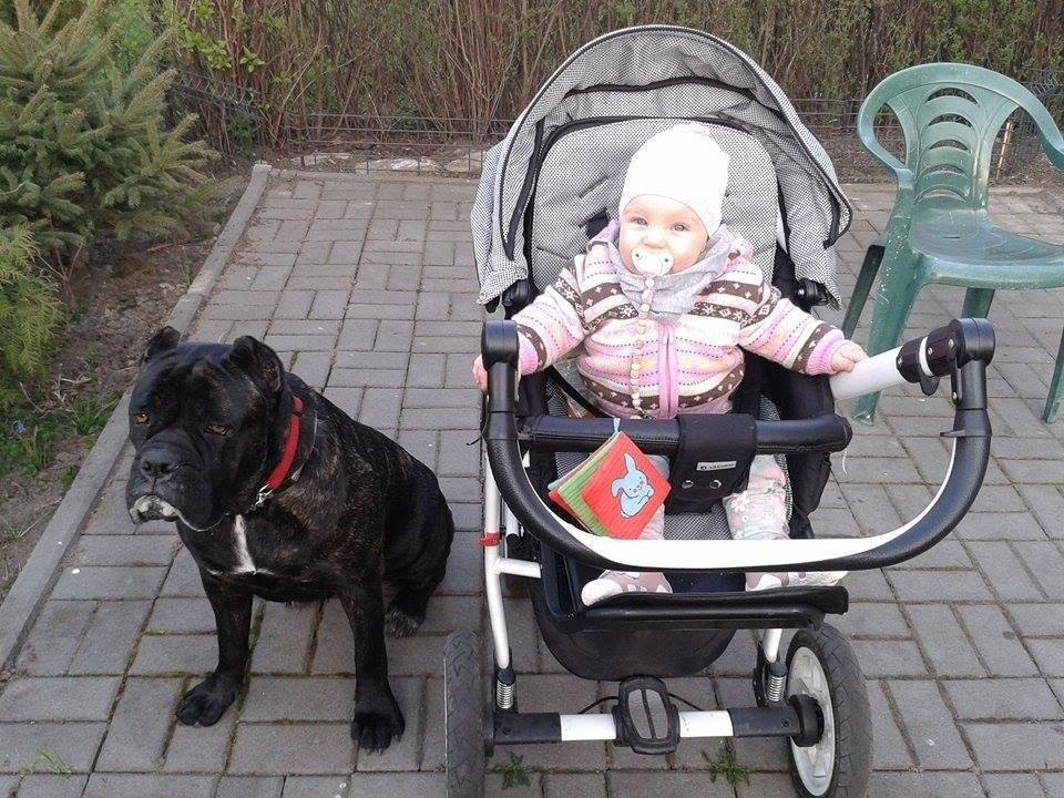 Neera wraz ze swoją małą Panią przesyłają pozdowienia
